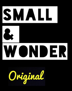 SmallandwonderHeader